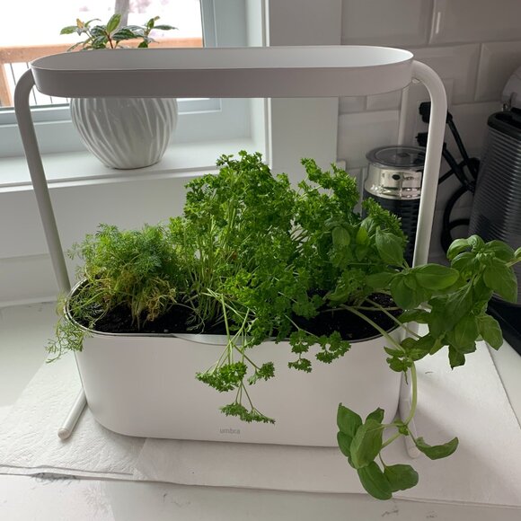 New in Box Umbra Giardino Indoor Herb Garden Set - Picture 13 of 14